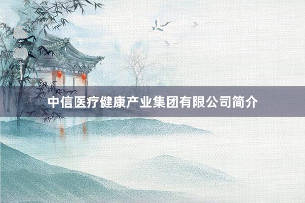 中信医疗健康产业集团有限公司简介